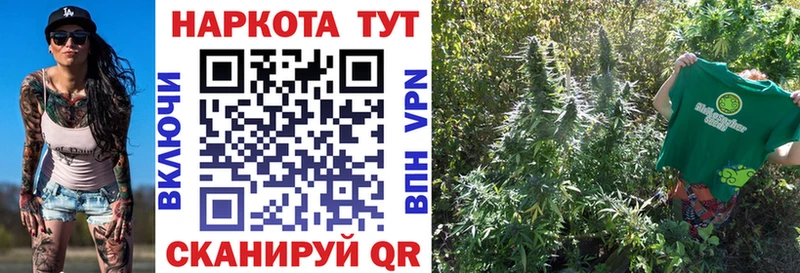 Все наркотики Трубчевск МАРИХУАНА  LSD-25  ГАШ  МДМА 