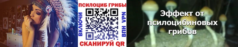 Псилоцибиновые грибы мицелий  Трубчевск 
